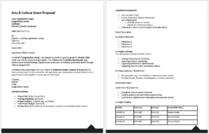 Arts & Culture Grant Proposal Form